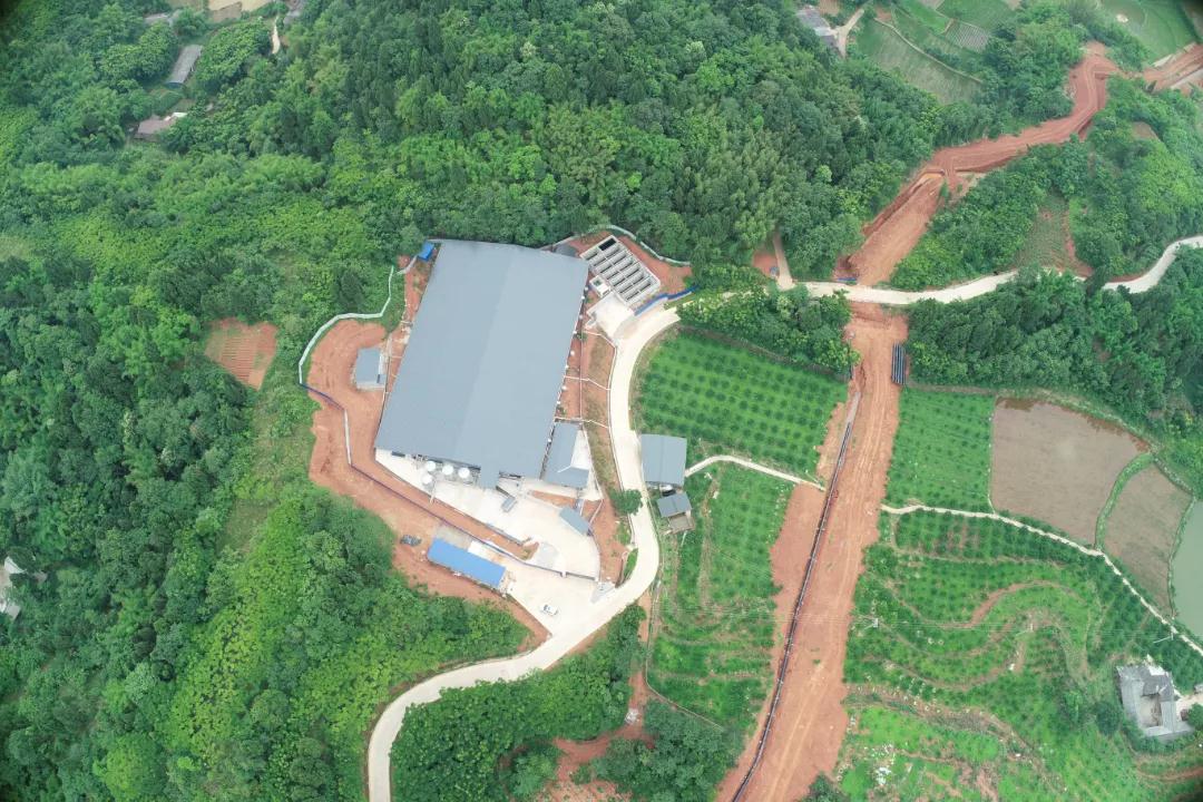 四川樾之源農(nóng)業(yè)科技發(fā)展有限公司航拍圖
