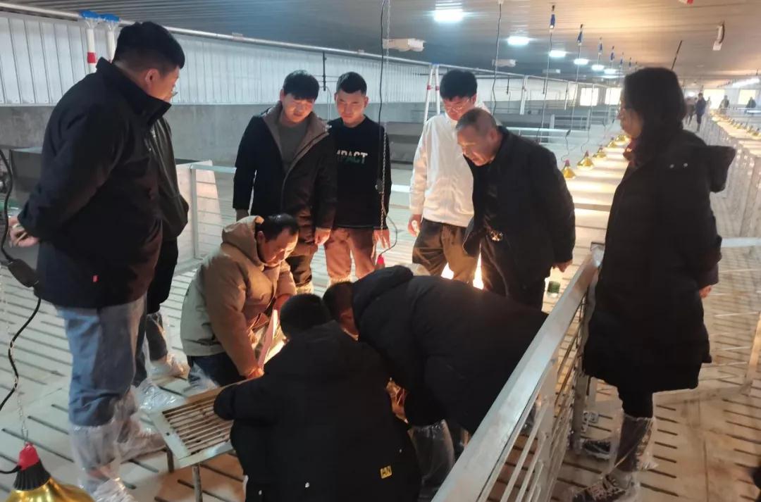 巨星公司技術人員現(xiàn)場指導
